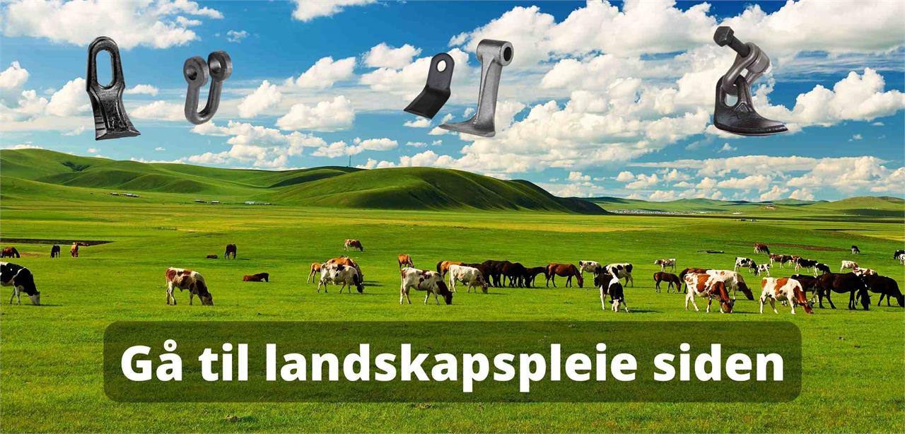 Kuer som beiter med kniver til beitepusser innfelt i bildet